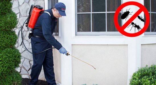 Şakran Dezenfeksiyon böcek ilaçlama ve haşere kontrolü — ilaclama-tr.com